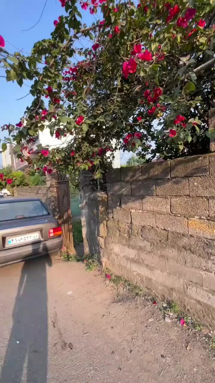 فروش زمین ۲۱۰ متر تجاری مسکونی|فروش زمین و ملک کلنگی|املش, |دیوار