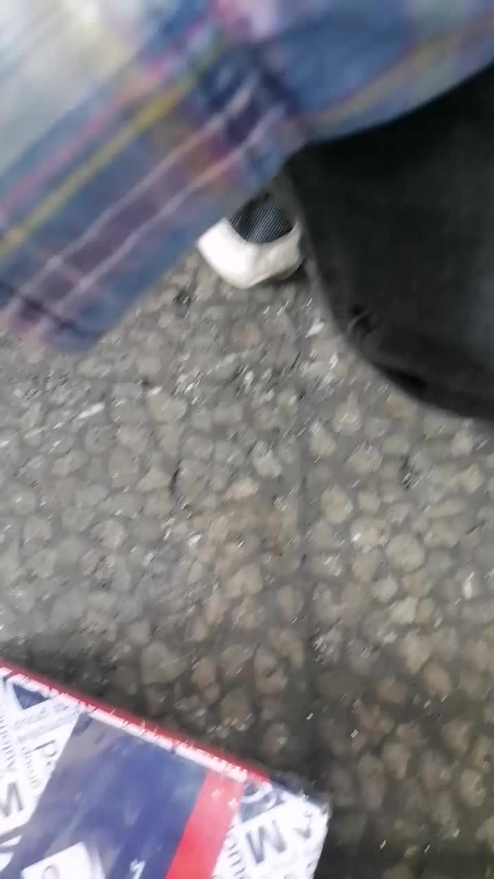 141|خودرو سواری و وانت|بوشهر, |دیوار