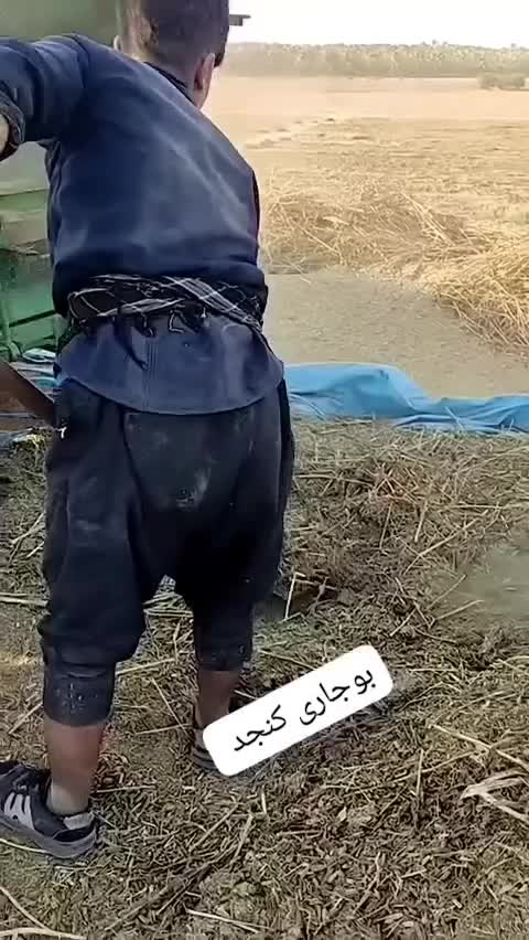 کنجد تازه بوجاری شده|خوردنی و آشامیدنی|وحدتیه, |دیوار