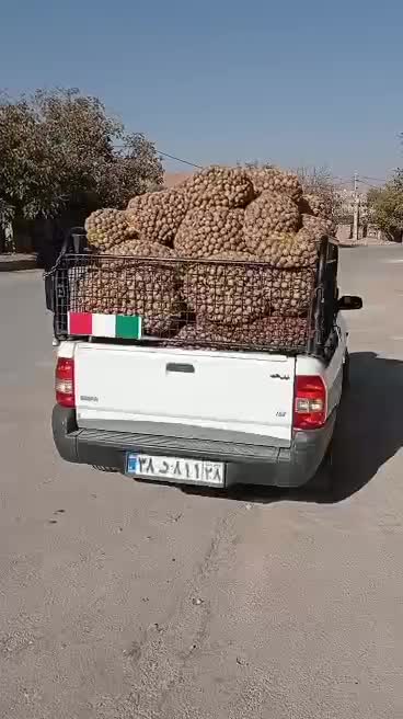 گردو|عمدهفروشی|طرقبه, |دیوار