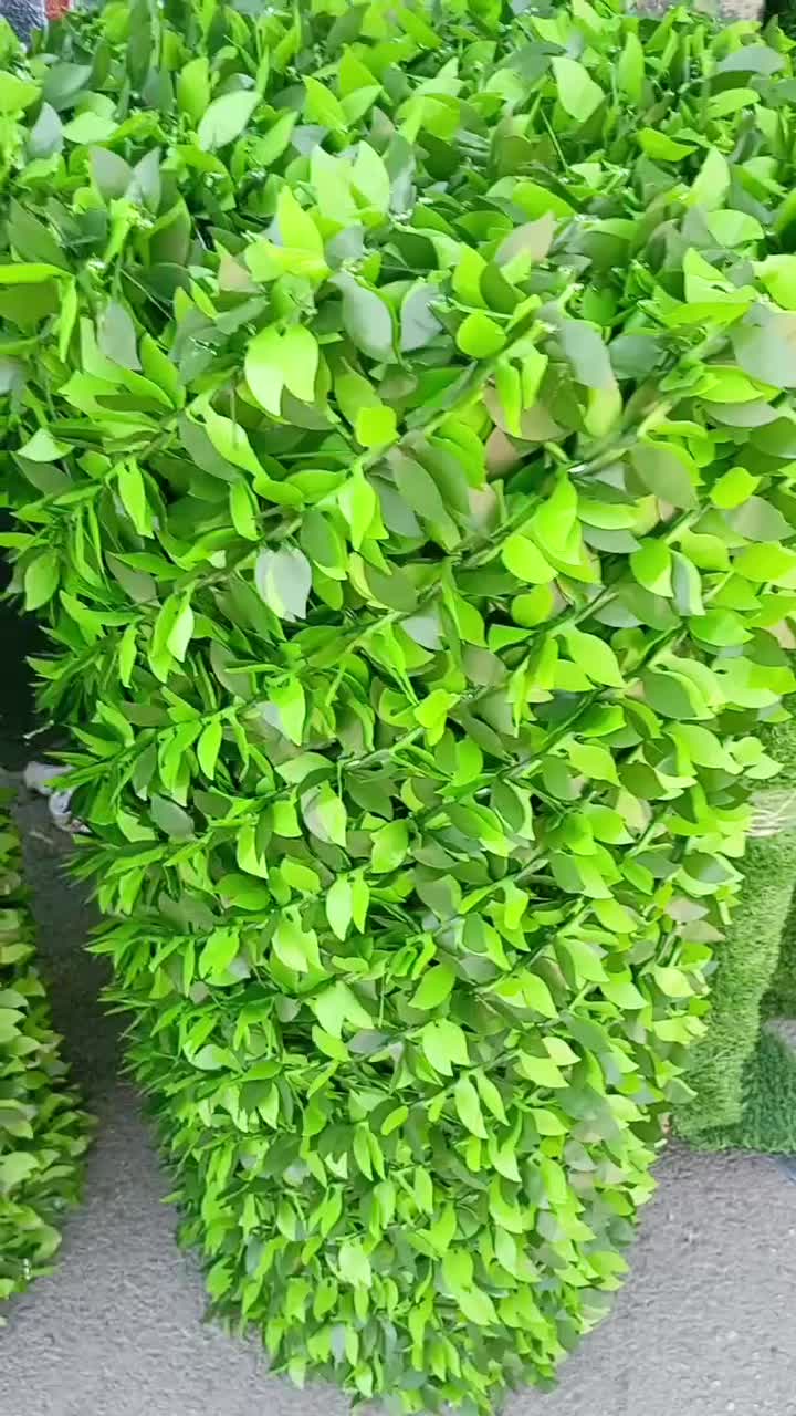 فنس برگ ریحونی،فنس چمنی دوبافت|مصالح و تجهیزات ساختمان|بوشهر, |دیوار