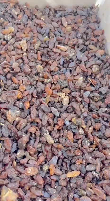 کشمش افتابی مخصوص ابگیری|عمدهفروشی|ششطراز, |دیوار