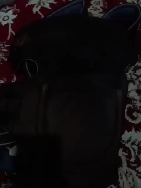 اغوشی|کالسکه و لوازم جانبی|کرمان, |دیوار