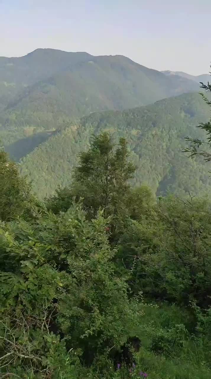 اجاره ویلا در گردنه حیران ،روستای گیلده|اجارهٔ کوتاه‌مدت ویلا و باغ|آستارا, |دیوار