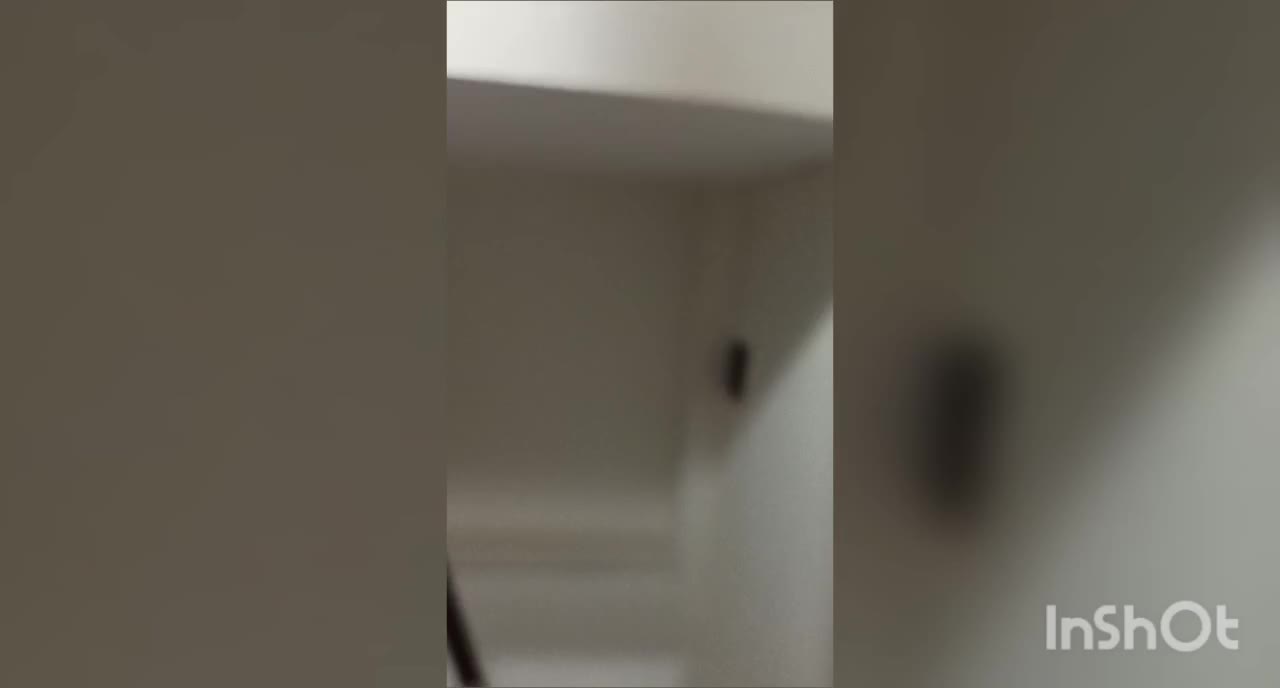 اجاره نشینی دربهترین منظره دنیا|اجارهٔ آپارتمان|کرج, حصار سرجوب|دیوار