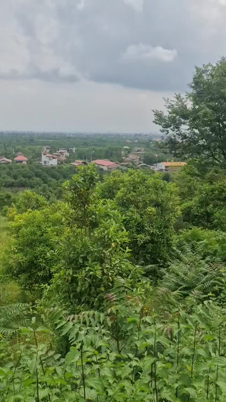 زمین ۱۶۰۰ متری|فروش زمین و ملک کلنگی|خرم‌آباد (تنکابن), |دیوار