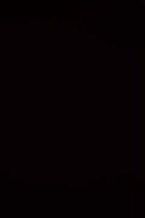 سنگ  برای زیر گلدان همراه با نورپردازی و گلدان|گل و گیاه طبیعی|نجف‌آباد, شهدای غربی|دیوار