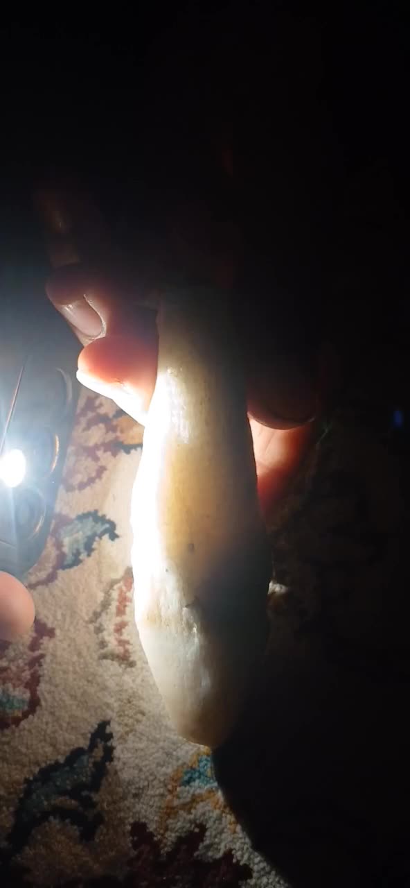 سنگ|کلکسیون اشیاء عتیقه|زنجان, |دیوار