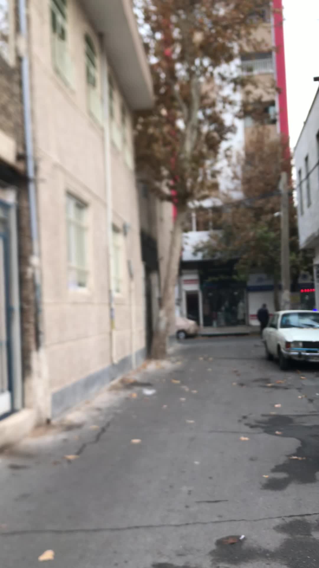 ویلایی مستقل ۴۵ متری(فروش یا رهن)|اجارهٔ خانه و ویلا|مشکین‌دشت, |دیوار