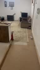 منزل دوخابه بسیار تمیز و مرتب|اجارهٔ آپارتمان|شیراز, لب آب|دیوار