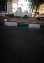 واحد 55 متری نقلی خیابان اصلی|اجارهٔ آپارتمان|کرج, اسلام‌آباد|دیوار
