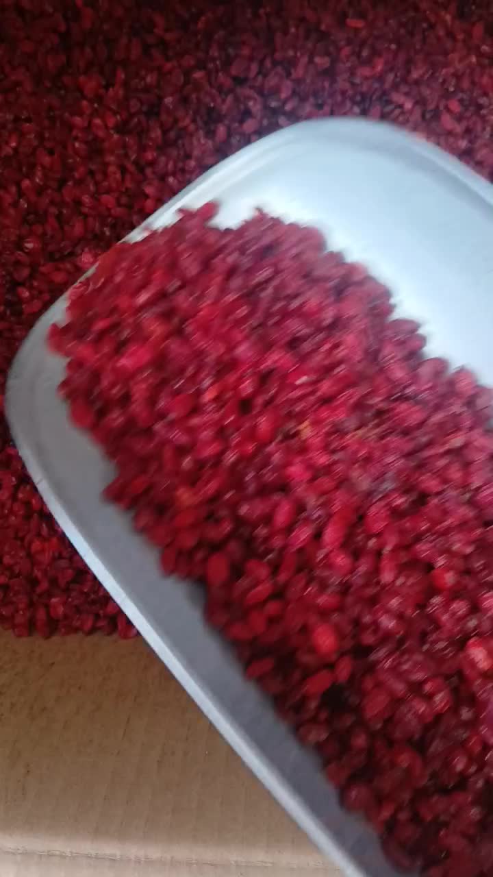 زرشک|خوردنی و آشامیدنی|کرج, نوروزآباد|دیوار