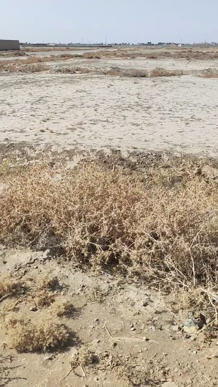 زمین ۸۰۰ متری نزدیک مشهد قولنامهای|فروش زمین و ملک کلنگی|مشهد, میان ولایت|دیوار