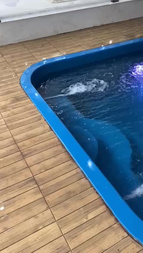 ساخت استخر با هزینه منطقی و اجرای اصولی|خدمات پیشه و مهارت|بندر انزلی, معلم|دیوار