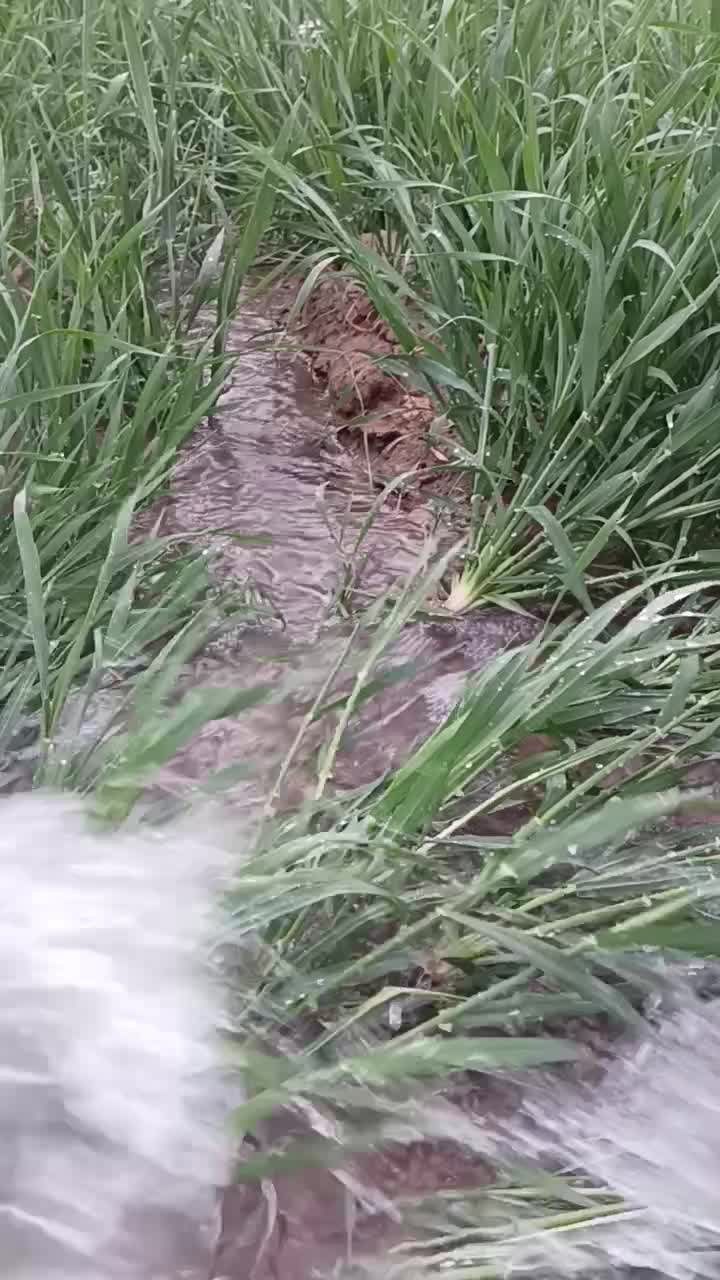 فروش و تهاتر ۴هکتار زمین باغی زراعی بومگردی و ...|فروش دفتر صنعتی، کشاورزی، تجاری|نوبران, |دیوار
