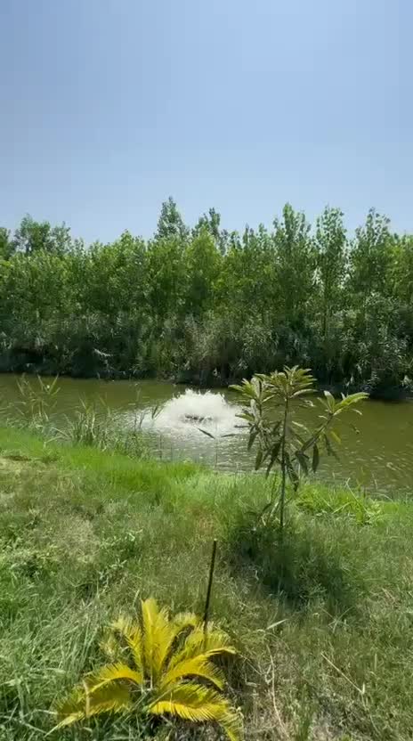 کلبه سویسی ۲خواب لاکچری|اجارهٔ کوتاه‌مدت ویلا و باغ|بندر انزلی, جزیره|دیوار