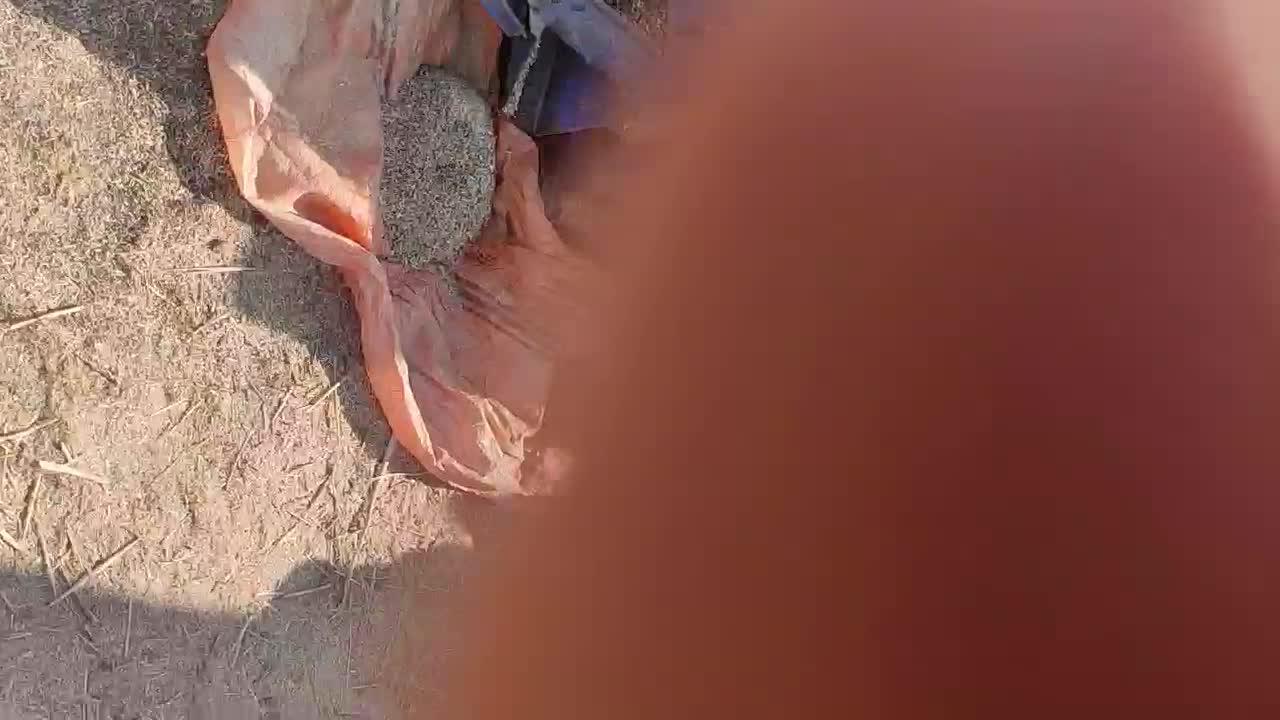 کاهکوب خلال زن|ماشین‌آلات صنعتی|آزادشهر, |دیوار