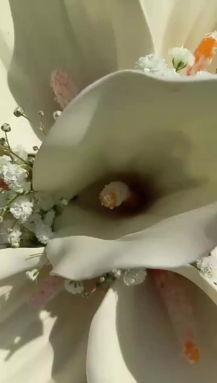 تشریفات ازدواج آسان فقط با ۳۵ ملیون|خدمات پذیرایی، مراسم|اهواز, کوی فرهنگیان ۱|دیوار