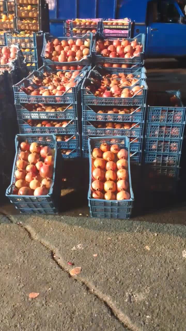 شراکت در میدان تربار|اجارهٔ مغازه و غرفه|تهران, میدان میوه و تره‌بار مرکزی|دیوار