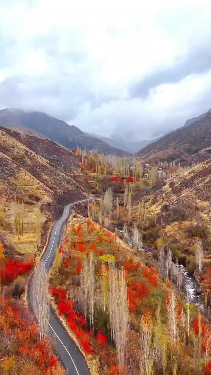 ادمین پیج انستاگرام و تولید محتوا|خدمات رایانه‌ای و موبایل|مریوان, |دیوار