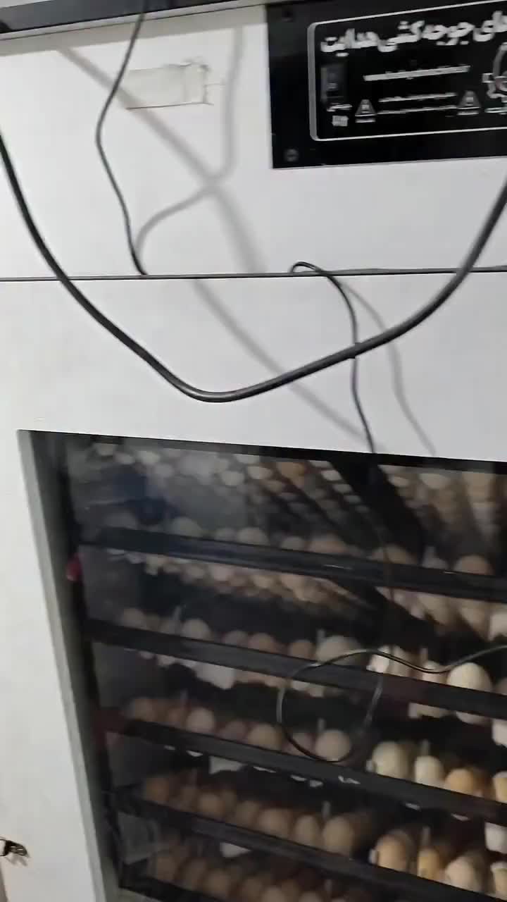 دستگاه جوجه کشی «نو شــرکتـی)))HDAYT|لوازم جانبی حیوانات|شادگان, |دیوار