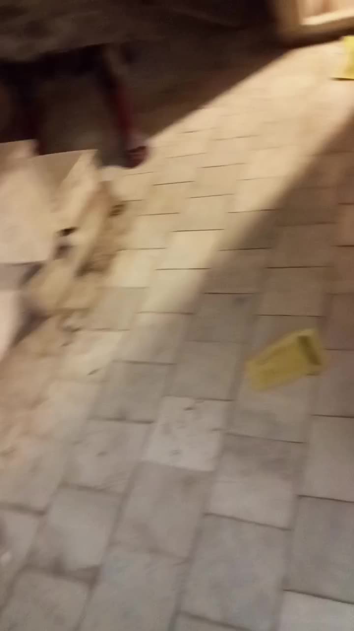 شرکت حمل و نقل اثاثیه منزل حجت بار نوین|خدمات حمل و نقل|مشهد, الهیه|دیوار