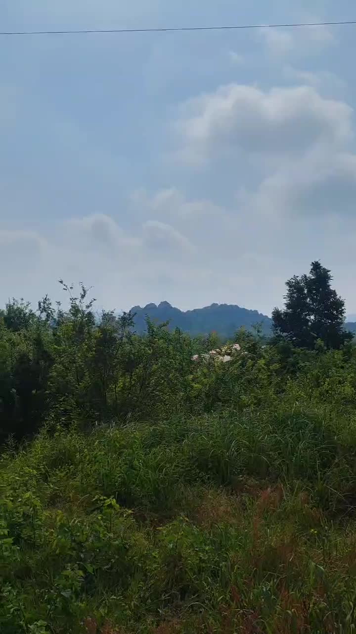 281متر داخل طرح واقع در لاهیجان روستای آزارستانگی|فروش زمین و ملک کلنگی|لاهیجان, آهندان|دیوار