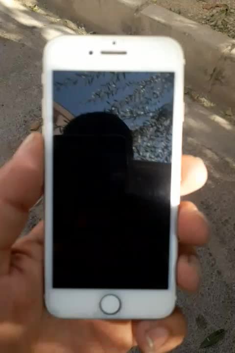 iPhone 7 پلمپ با تمامی وسایل فابریک|موبایل|دماوند, مسکن مهر گیلاوند|دیوار