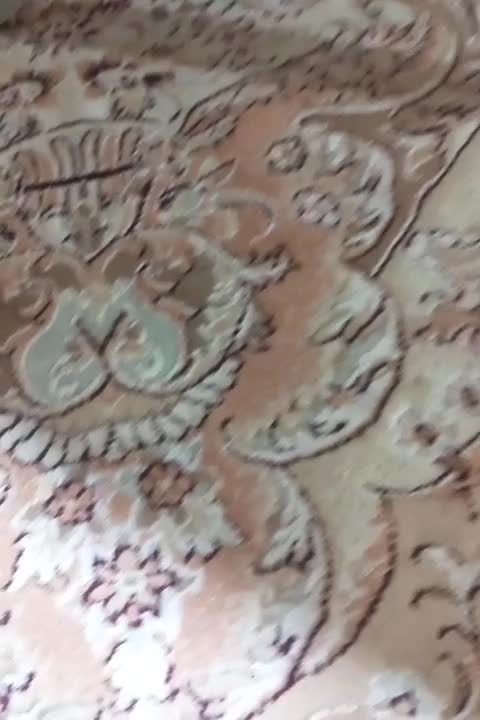 فرش ۶ متری|فرش|نوشهر, |دیوار