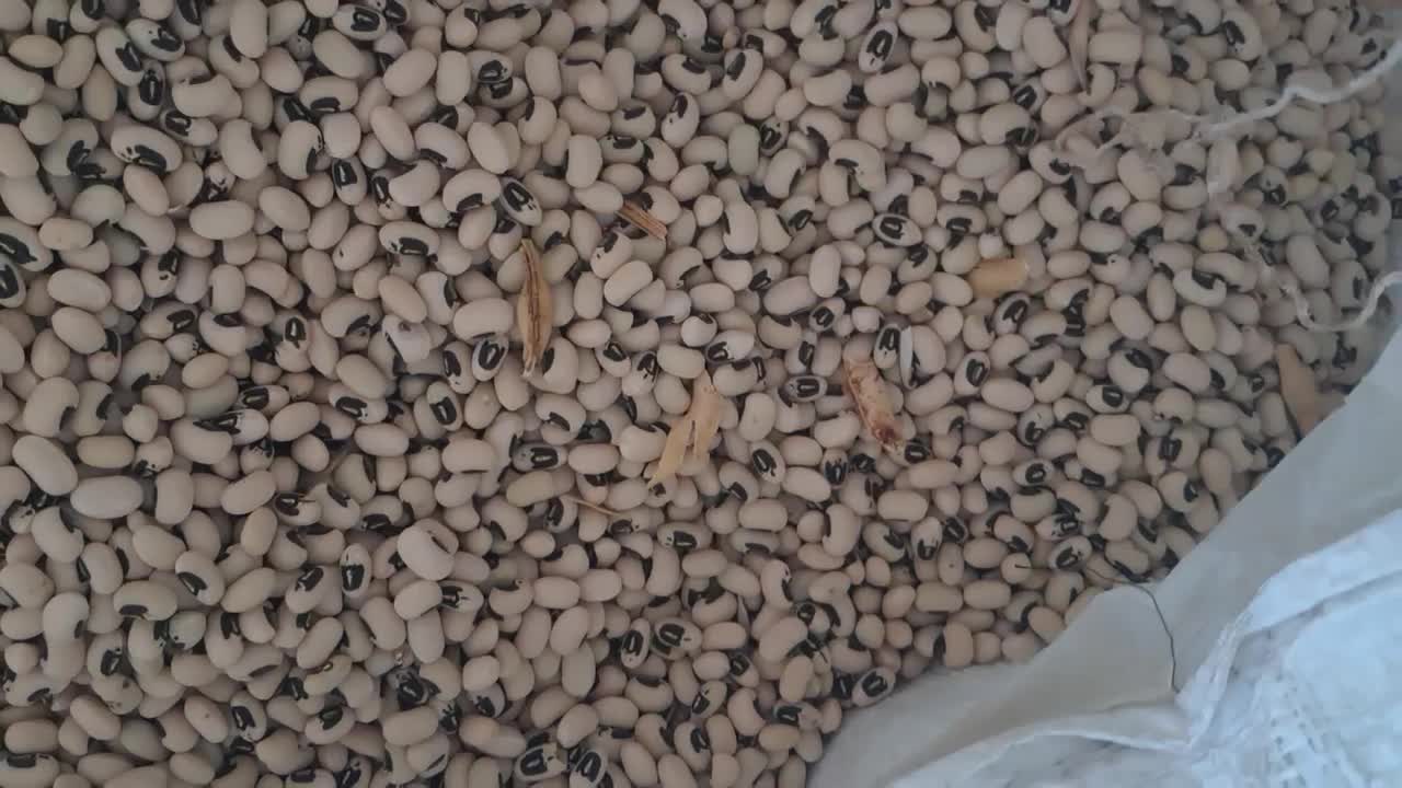 لوبیا آشی محلی(چشم بلبلی) آوردم براتون|خوردنی و آشامیدنی|کوهدشت, |دیوار