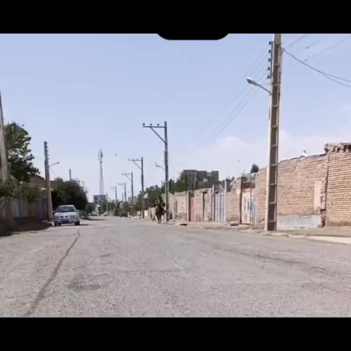 اسب مادیان معاوضه|اسب و تجهیزات اسب‌سواری|مشگین شهر, |دیوار