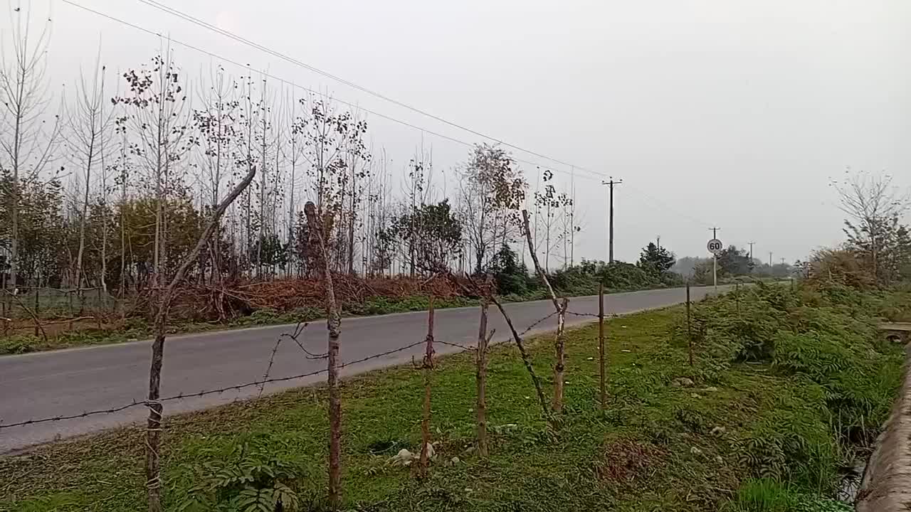 زمین روستایی بر خیابان اصلی|فروش زمین و ملک کلنگی|ماکلوان, |دیوار