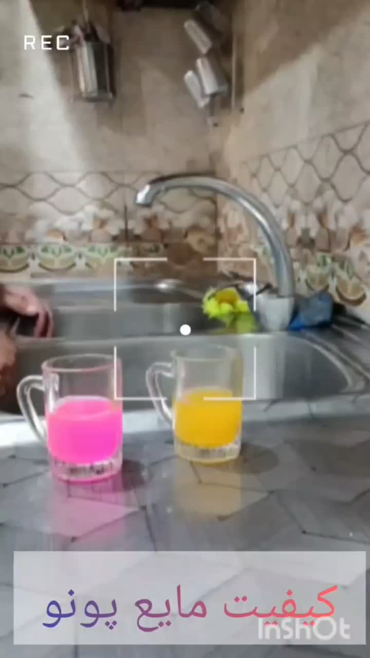 مایع شوینده و پودر لباسشویی|مواد شوینده و دستمال کاغذی|کامیاران, |دیوار