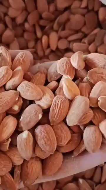 مغز بادام|عمده‌فروشی|سده (فارس), |دیوار