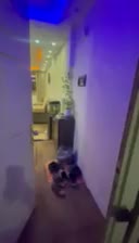 ساختمان متین سند تک برگ|فروش آپارتمان|فولادشهر, C4|دیوار