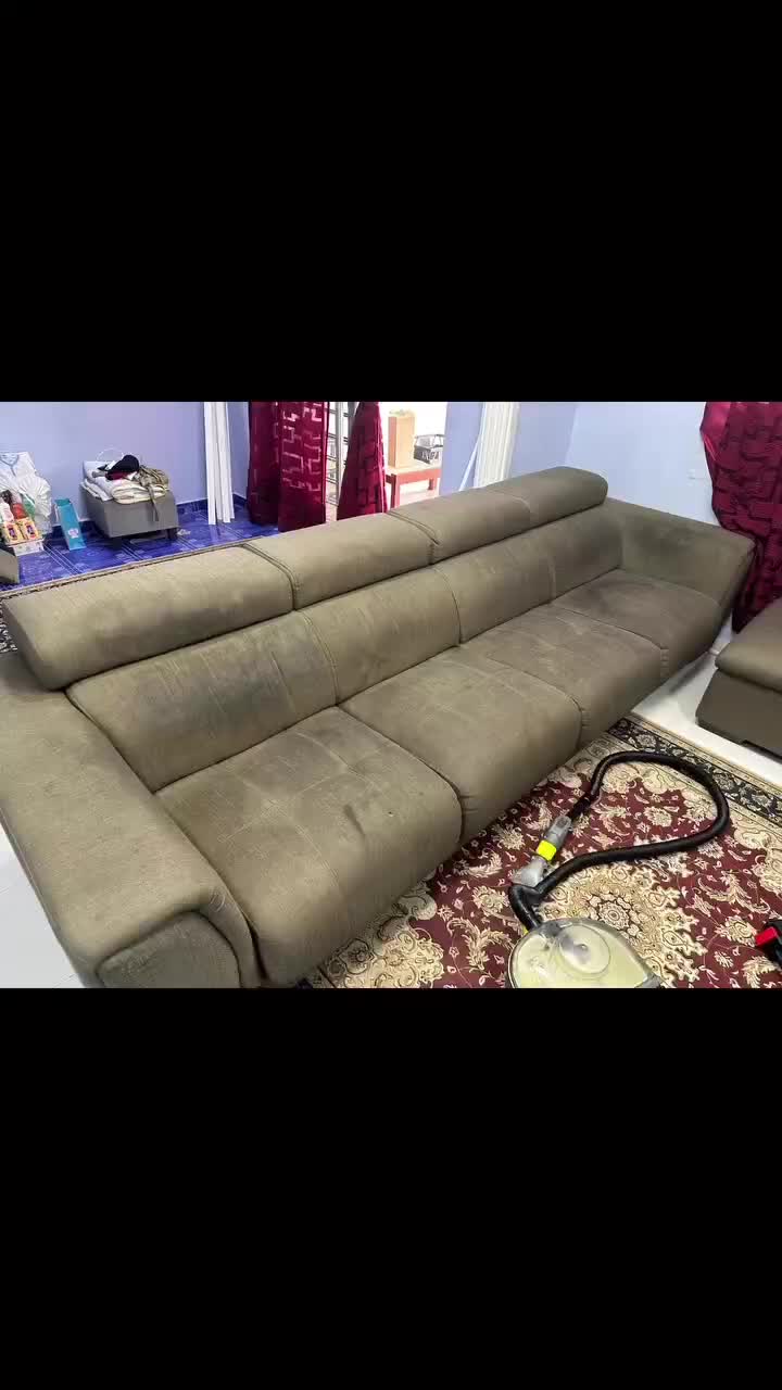 مبلشویی مبل شویی وارش|خدمات نظافت|رشت, کاکتوس|دیوار