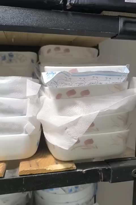 ظروف آرکوپال اصلی مردکماندار|ظروف سرو و پذیرایی|مشهد, توس (بلوار توس)|دیوار