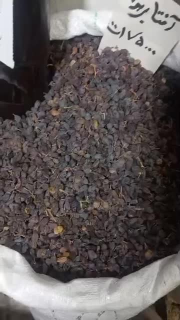 خشکبار بوانات|خوردنی و آشامیدنی|شیراز, دباغ خانه|دیوار