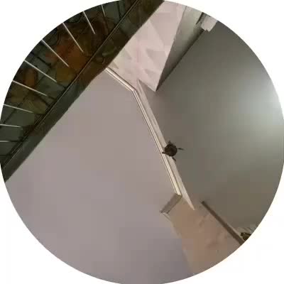 یک جفت عروس هلندی|پرنده|اندیشه, اندیشه فاز ۵|دیوار