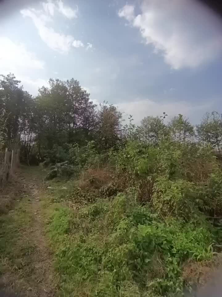 زمین ۲۳۰ متری با پروانه ساخت منطقه ویلایی|فروش زمین و ملک کلنگی|لاهیجان, کوه بیجار|دیوار