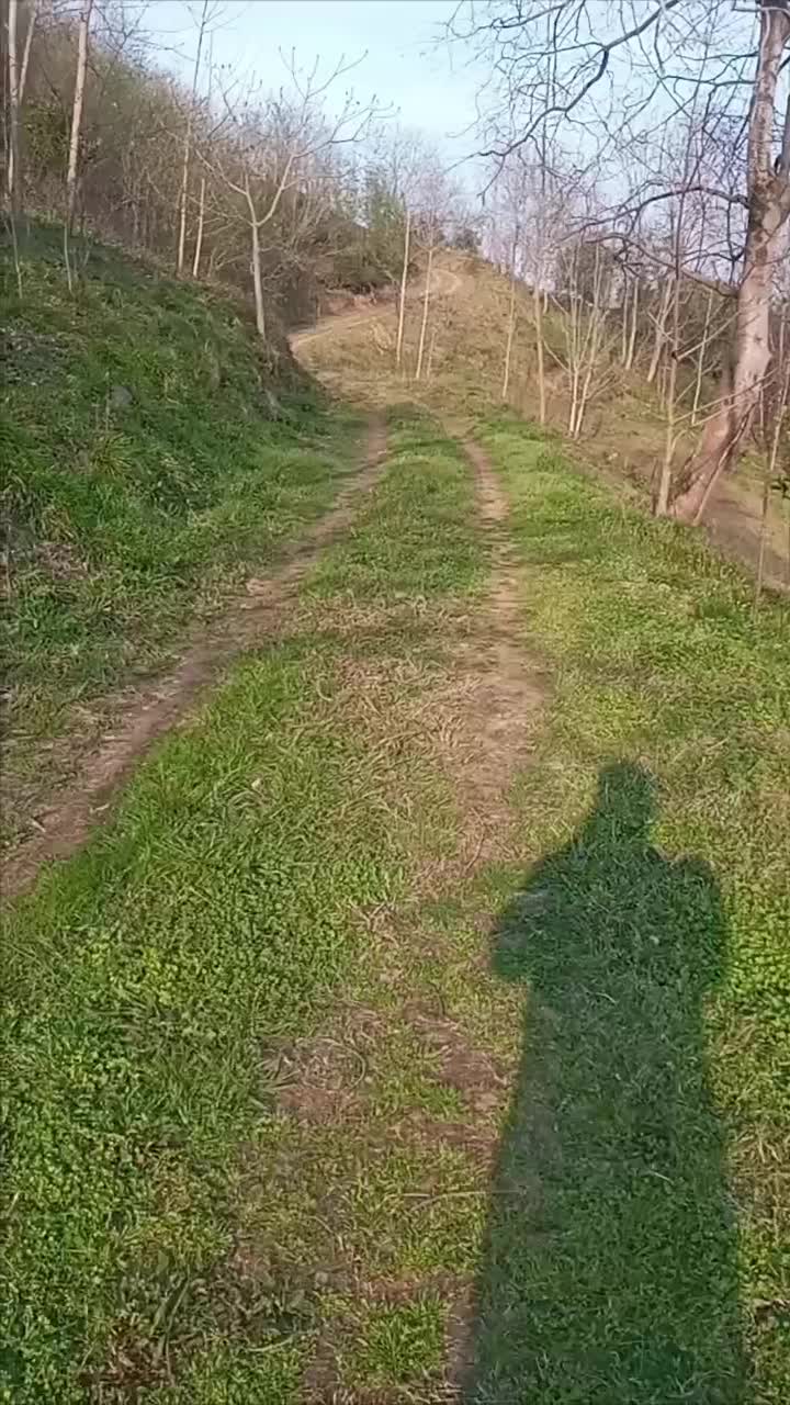 فروش زمین باغی|فروش زمین و ملک کلنگی|لنگرود, |دیوار