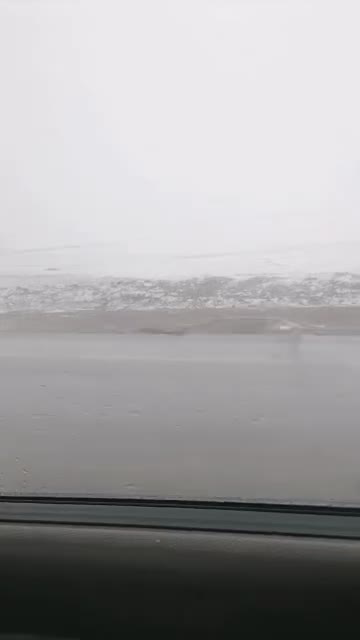 حمل وجابه جایی مسافر|خدمات حمل و نقل|بیرجند, |دیوار