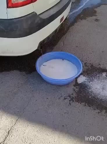 شستشو کاتالیزور و کربن زدایی خودرو با دستگاه|خدمات موتور و ماشین|اردبیل, |دیوار