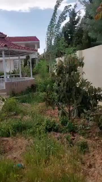 ویلا باغ یک خوابه با تمام امکانات|اجارهٔ کوتاهمدت ویلا و باغ|شیراز, ویلاشهر|دیوار