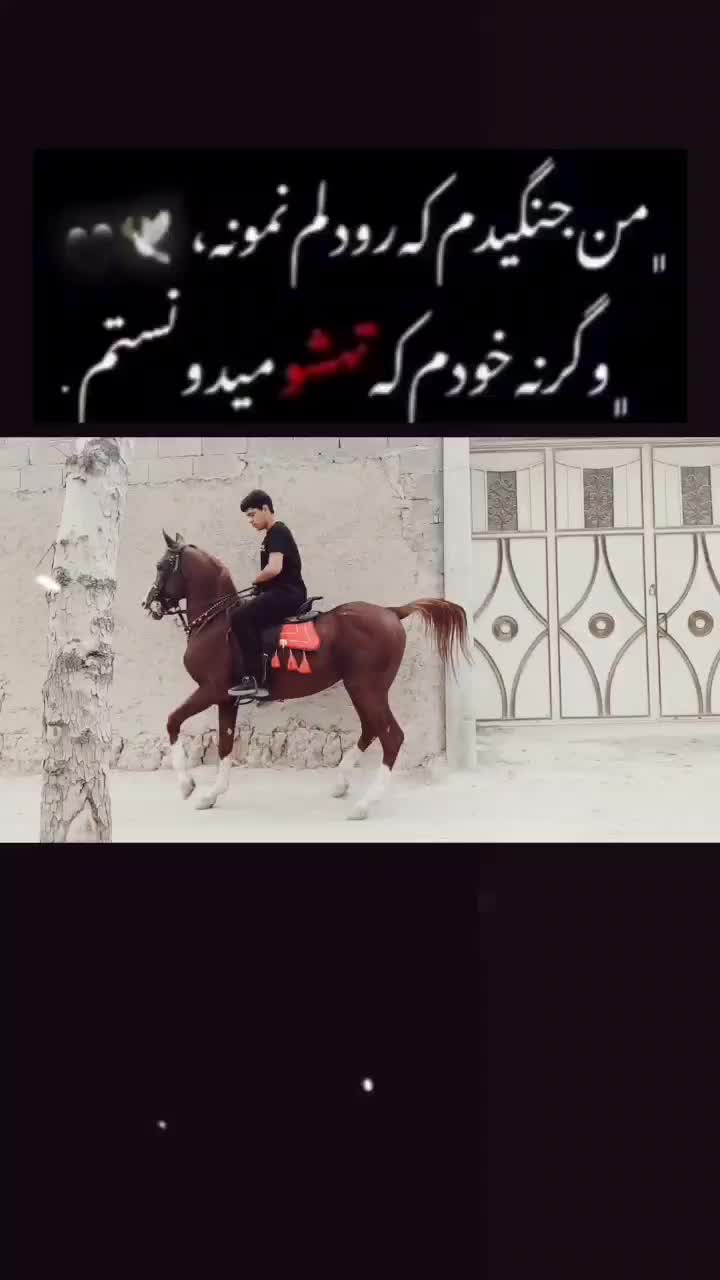 نریان سواری دار عالی|اسب و تجهیزات اسبسواری|خمینیشهر, |دیوار