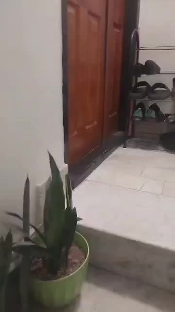 آپارتمان دو خواب|فروش آپارتمان|تهران, هاشمآباد|دیوار