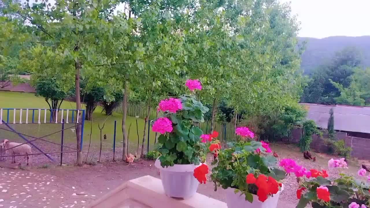 ویلا‌ماسوله‌جنگلی‌ونزدیک‌به‌رودخانه|اجارهٔ کوتاه‌مدت ویلا و باغ|ماسوله, |دیوار