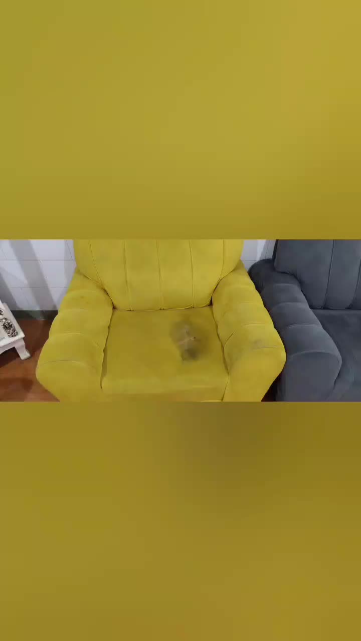 مبلشویی و قالیشویی در منزل|خدمات نظافت|جیرفت, |دیوار