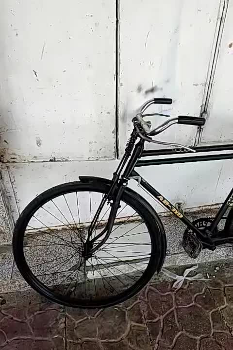 فونیکس|دوچرخه، اسکیت، اسکوتر|حمیدیه, |دیوار