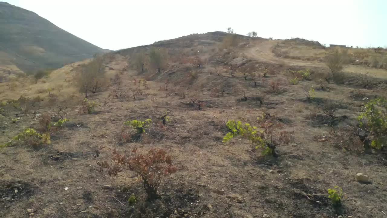 زمین باغچه ۱۰۰۰متری|فروش دفتر صنعتی، کشاورزی، تجاری|شیراز, داریون|دیوار